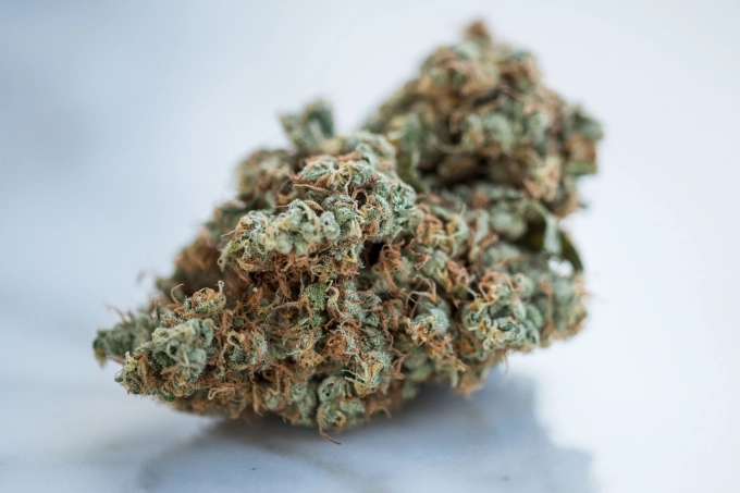 weed-delivery-deals