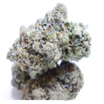 Premium Dior Pink Kush cannabis flower featuring Pink Kush lineage, dense frosty buds, earthy sweet flavour and high THC, available at Omybuds