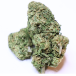 Donkey Butter strain cannabis flower with Grease Monkey and Triple OG genetics and 25 percent THC