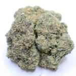 Durban Biscotti cannabis flower with frosty green purple buds and vibrant orange pistils from Omybuds