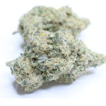 King Kong Glue indica dominant hybrid cannabis flower with sweet citrus and grape flavours from Omybuds
