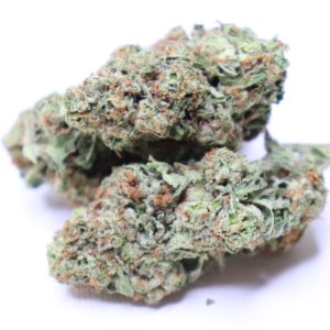 Master Kush
