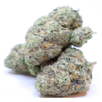 Grease Monkey cannabis flower with dense frosty buds and heavy trichome coverage from Omybuds