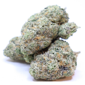 Close-up of Grease Monkey cannabis flower featuring crystal trichomes and orange pistils