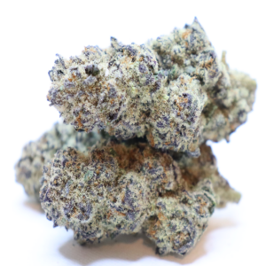 Purple Kush cannabis flower with dense purple and green buds