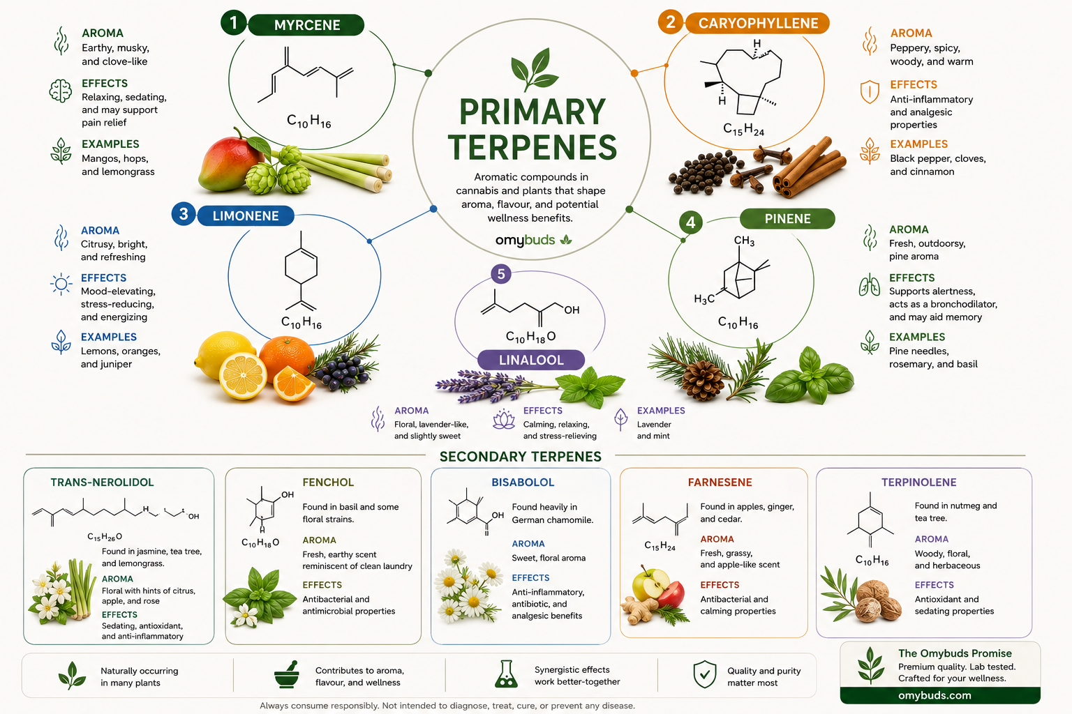 Primary and secondary aroma compounds
