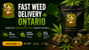 Fast Weed Delivery Ontario by Omybuds offering same-day cannabis delivery, discreet packaging, premium cannabis flower, edibles, concentrates, and vape products across Ontario.