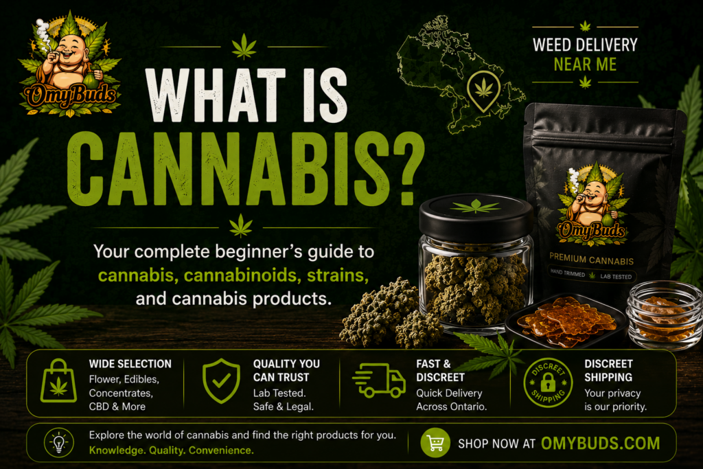 What Is Cannabis beginner's guide banner featuring cannabis products and cannabinoids by Omybuds
