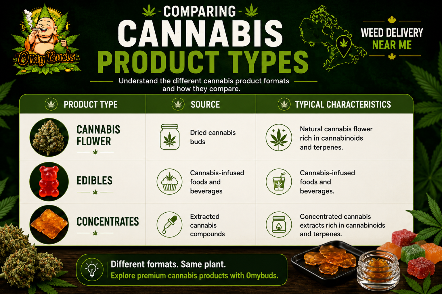 Cannabis Flower vs Edibles vs Concentrates comparison infographic by Omybuds
