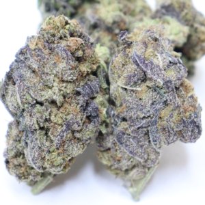 Critical Kush