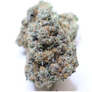 Purple Haze