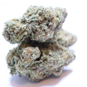 Bacio Gelato