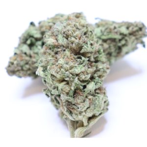 Tahoe Alien