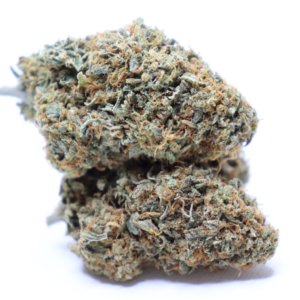 Orange Cookies